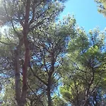 Camping Caravan Near The Sea 4 *
