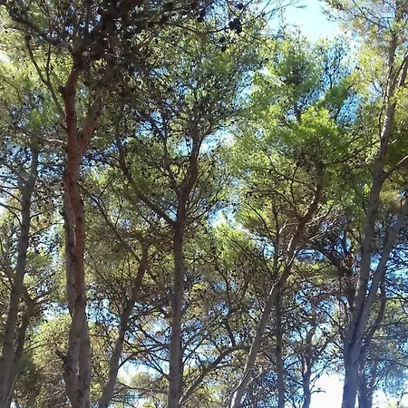 Caravan Near The Sea 4