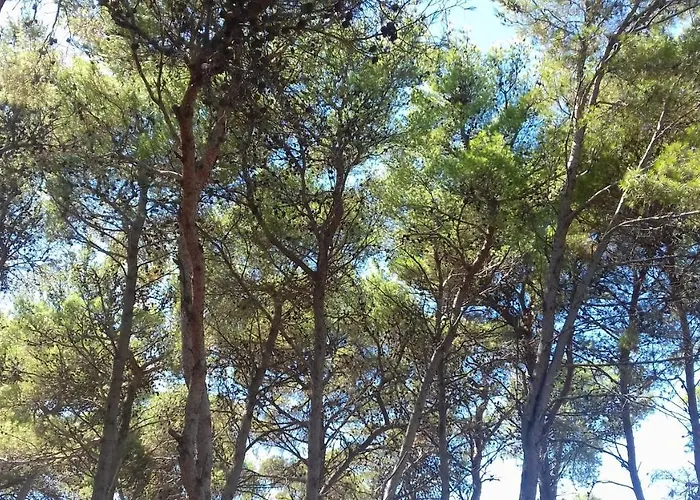 Caravan Near The Sea 4